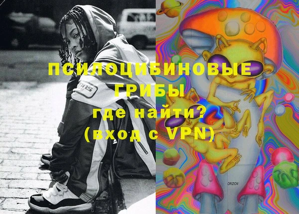 ГАЛЛЮЦИНОГЕННЫЕ ГРИБЫ Арсеньев