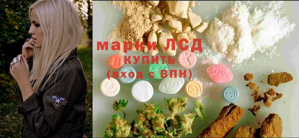 ГАЛЛЮЦИНОГЕННЫЕ ГРИБЫ Арсеньев