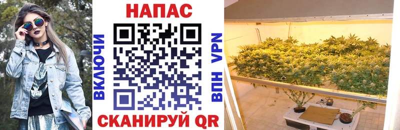 Шишки марихуана семена  Старая Купавна 